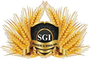 sgi